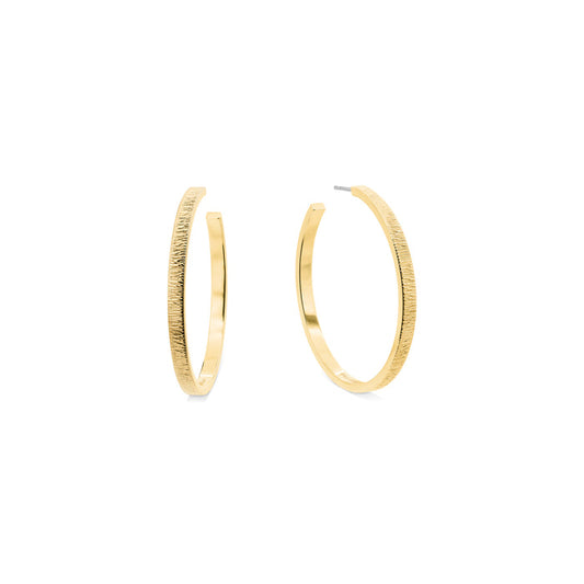 Calvin Klein Jewellery Gold Steel Women's Hoop Earrings - 35001011