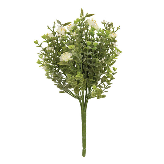 Eden's Gate Bush