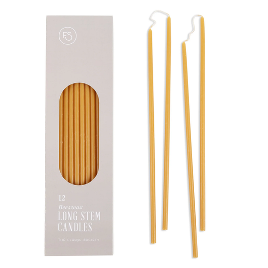 Ochre Beeswax Long Stem Candle Box/12