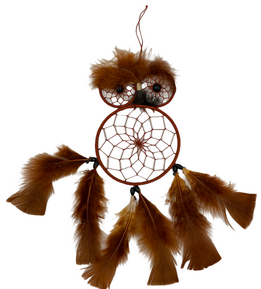 Owl Dreamcatcher