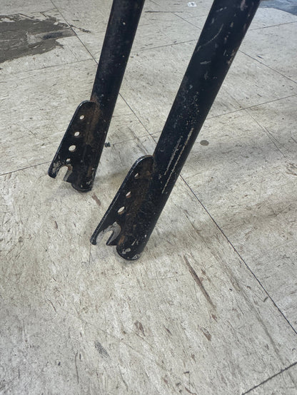 schwinn scrambler painted w/ forks
