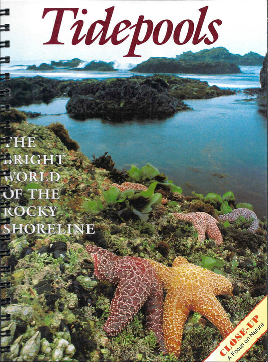 Tidepools
